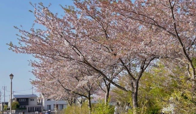 The Ultimate Guide to Ageless Style: How Min Defies Age with These Adorable Outfit Ideas