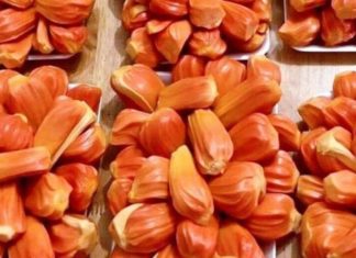The Secret to Success: How Red-Fleshed Jackfruit is Transforming Farmers’ Fortunes