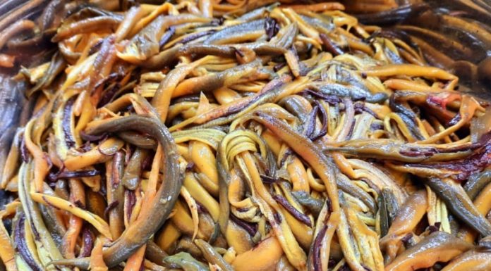 The Tasty Delights of Nghe Luon: A Culinary Adventure You Won’t Want to Miss