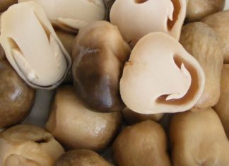 Some Important Tips to Remember When Cooking Straw Mushrooms