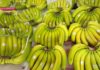 Select These Bananas When Buying, and the Seller Will Approve With a Nod