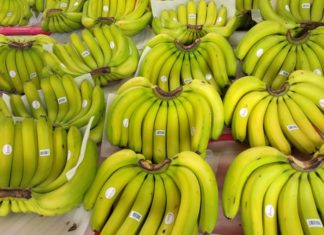Select These Bananas When Buying, and the Seller Will Approve With a Nod