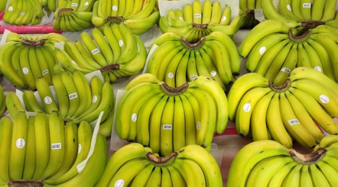 Select These Bananas When Buying, and the Seller Will Approve With a Nod