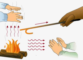 The Ultimate Guide to Winter Wear: Bulk Up or Layer Down?