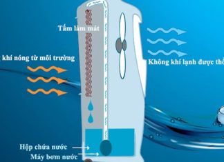 Should You Buy an Air Cooler, a Mist Fan, or an Air Conditioner to Save on Energy Bills This Summer?