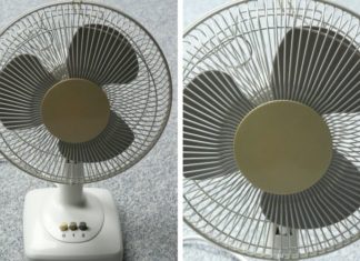 Should You Use a Ceiling Fan or a Floor Fan to Save Energy This Summer?