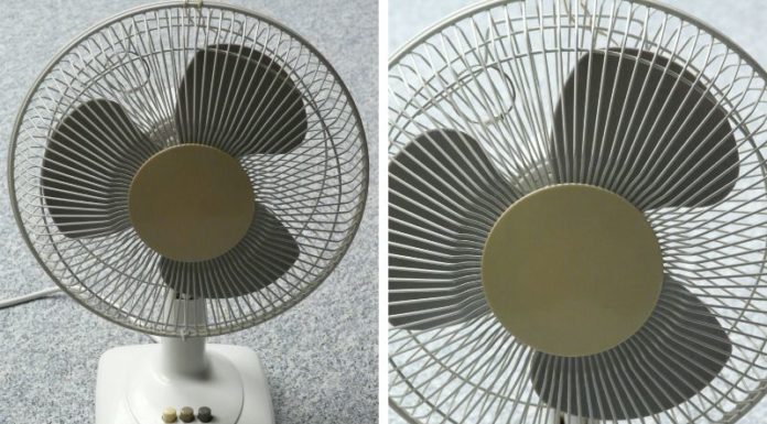 Should You Use a Ceiling Fan or a Floor Fan to Save Energy This Summer?