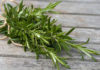 Where to Buy Fresh and Dried Rosemary in Ho Chi Minh City?