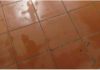 How to Prevent Post-Storm Damp and Mildew on Walls and Floors