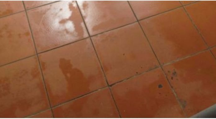 How to Prevent Post-Storm Damp and Mildew on Walls and Floors