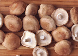 The Ultimate Guide to Buying Fresh Mushrooms: Heed These 4 Tips to Avoid Costly Mistakes