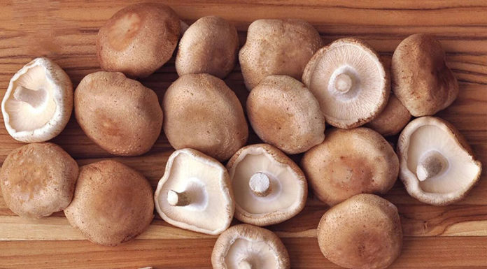The Ultimate Guide to Buying Fresh Mushrooms: Heed These 4 Tips to Avoid Costly Mistakes