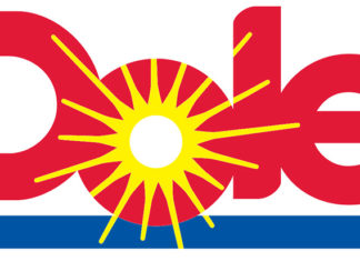 The Art of Summer: Crafting Fruit Tea with Canned Fruits by Dole