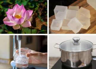 The Enchanting Lotus Season: Create a Blissful, Natural Lotus Soap Experience
