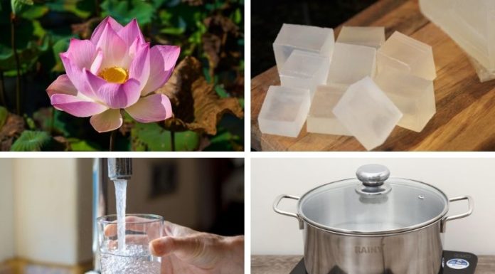 The Enchanting Lotus Season: Create a Blissful, Natural Lotus Soap Experience