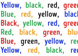 Unleash Your Mind’s Potential: Exam Prep with a Focus on Mental Agility and Concentration