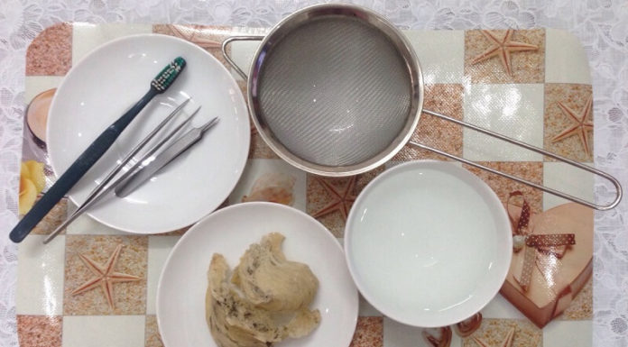 The Ultimate, Definitive Guide to Preparing Raw Bird’s Nest: A 5-Step Journey to a Divine, Nutritional Experience