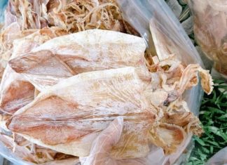 Should You Choose Large or Small Dried Squid for Your Next Purchase?
