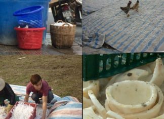 The Secret’s in the Sauce: A Behind-the-Scenes Look at How Your Favorite Holiday Jam is Made.