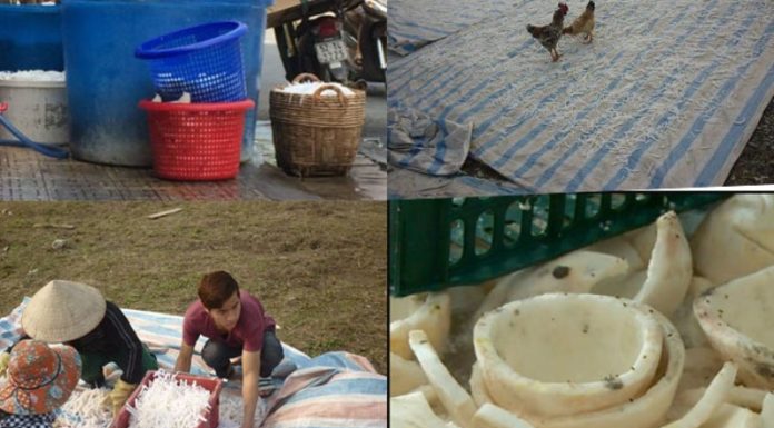 The Secret’s in the Sauce: A Behind-the-Scenes Look at How Your Favorite Holiday Jam is Made.