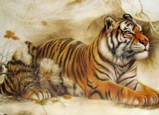 What’s Your Chinese Zodiac Animal for the Year of the Tiger 2022?