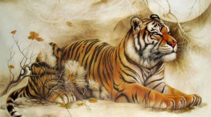 What’s Your Chinese Zodiac Animal for the Year of the Tiger 2022?