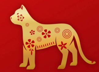 What’s the Zodiac Animal for 2023? Zodiac Signs for a Lucky 2023.