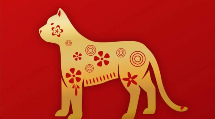 What’s the Zodiac Animal for 2023? Zodiac Signs for a Lucky 2023.