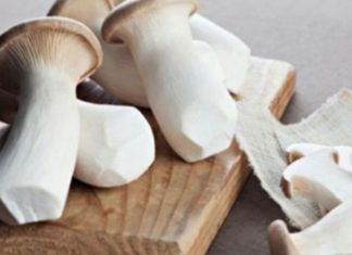 How Many Calories Are in Chicken Mushroom? Does Eating Chicken Mushroom Make You Fat?
