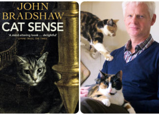 5 Purr-fect Books to Decode the Mysteries of Your Furry Feline Friend
