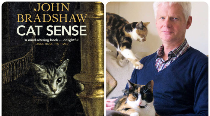 5 Purr-fect Books to Decode the Mysteries of Your Furry Feline Friend