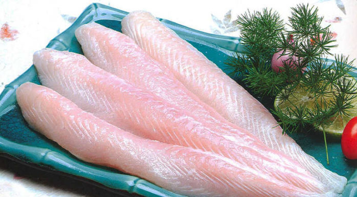 The Magic of Eating Right: A Guide to Odor-Free Living, Even in Summer’s Heat