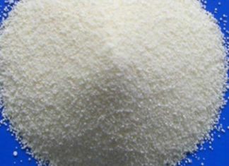 Should You Choose Agar Powder or Gelatin Powder?