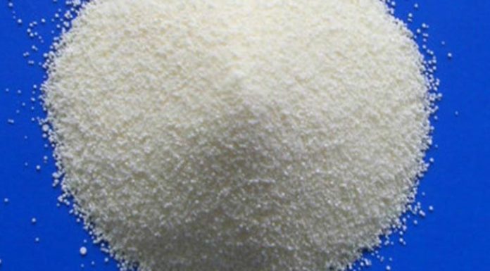 Should You Choose Agar Powder or Gelatin Powder?