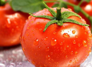 Should You Choose Regular Tomatoes or Cherry Tomatoes?