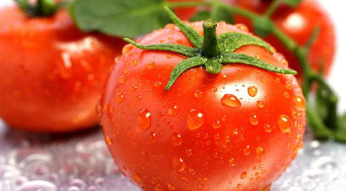 Should You Choose Regular Tomatoes or Cherry Tomatoes?