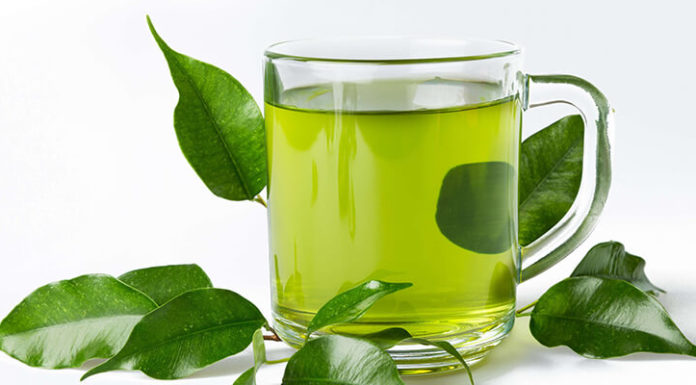 Should You Choose Loose Leaf, Green Tea or Tea Bags?