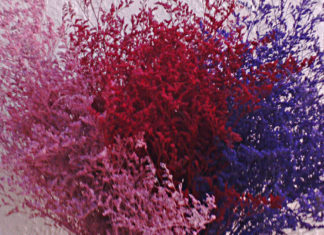 Should You Use Dried or Artificial Flowers for Home Decor?