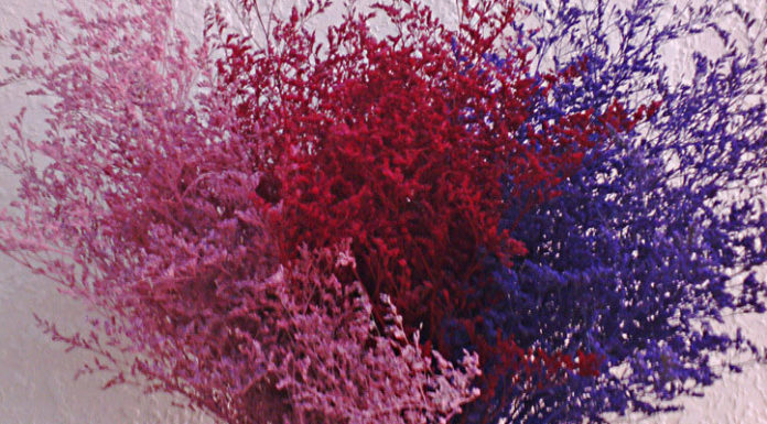 Should You Use Dried or Artificial Flowers for Home Decor?