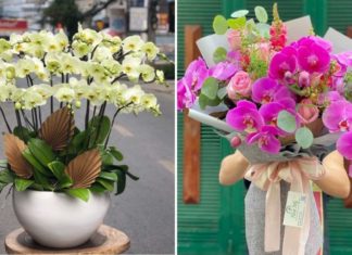 What Flowers to Gift on International Women’s Day? 12 Beautiful Bouquets to Celebrate.