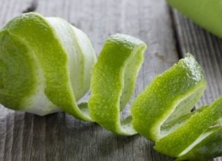 The Ultimate Guide to Pest Control: Conquer the Critters