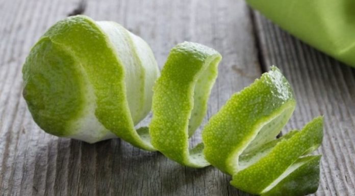 The Ultimate Guide to Pest Control: Conquer the Critters