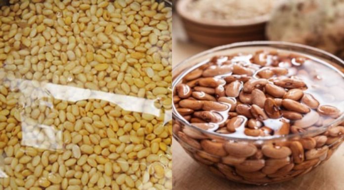 Why Soak Nuts Before Eating? Is it Just to Make Them Plump and Quick to Cook?
