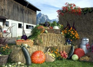 What is Thanksgiving? When is it in 2023?