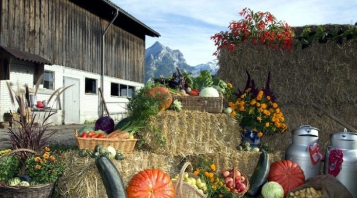 What is Thanksgiving? When is it in 2023?