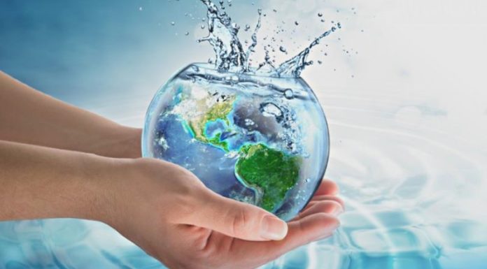 World Water Day, March 22: Origins, Significance and Themes