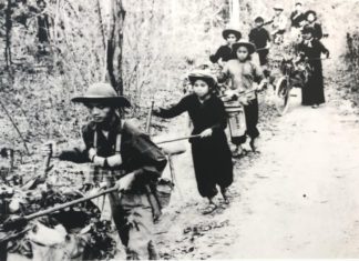 The Brave Youth Volunteers: Unveiling the Origin and Significance of the July 15th Tradition.