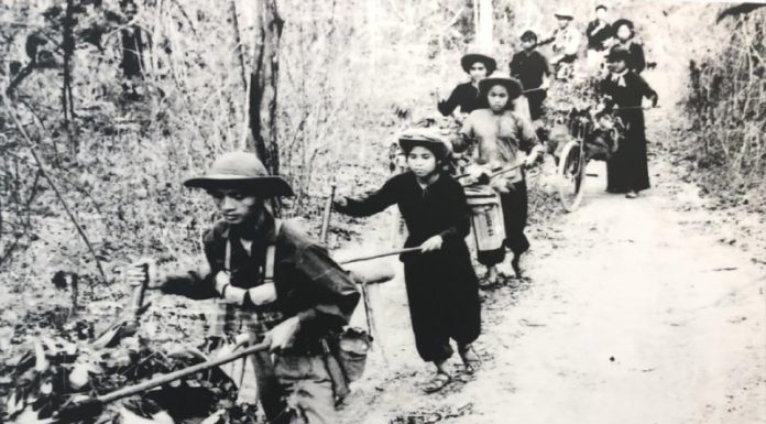 The Brave Youth Volunteers: Unveiling the Origin and Significance of the July 15th Tradition.