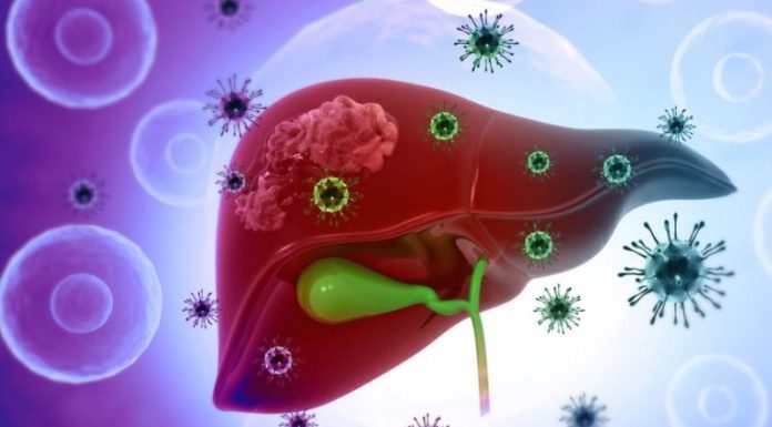 World Hepatitis Day, July 28th: Origins and Significance