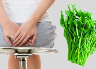 “The Water Spinach Remedy: Nature’s Answer to Hemorrhoids”